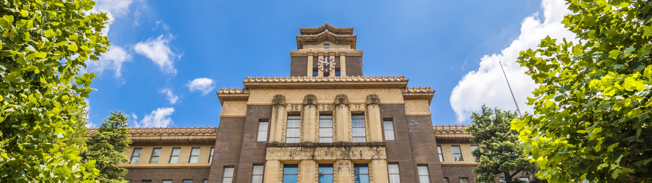 公務員（官公庁・公社・団体など）への就職