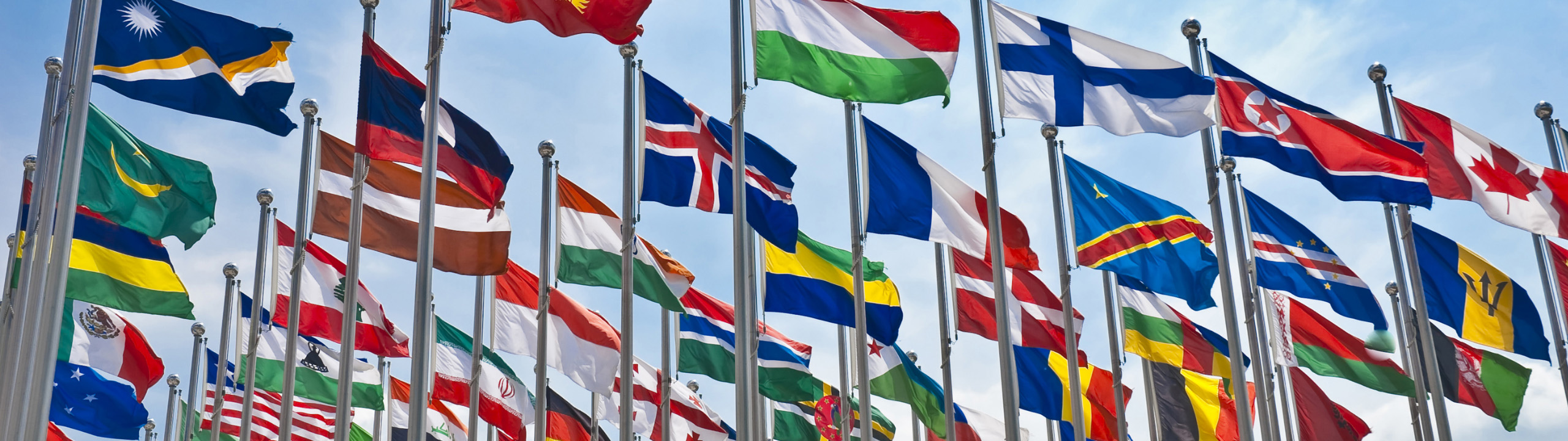 公務員・国際交流・国際協力に関わる機関・団体への就職